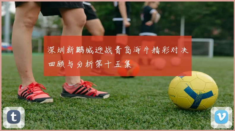 深圳新鹏城迎战青岛海牛精彩对决回顾与分析第十五集